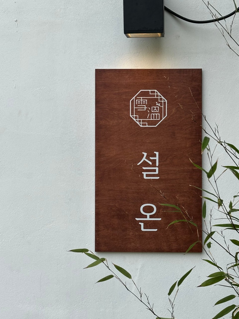 생생정보 윤수현 식당 카페