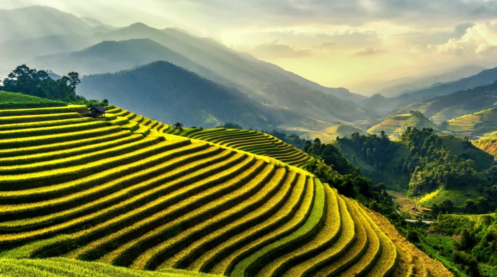 뜨갈라랑 라이스 테라스 (Tegallal Rice Terrace) 소개&#44; 위치&#44; 볼거리&#44; 주의사항