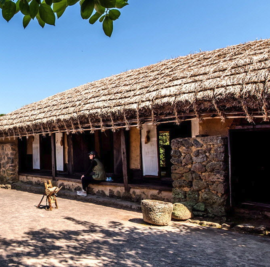 제주민속촌 메밀꽃축제 일정 체험행사 즐길거리 근처 맛집 주차 정보