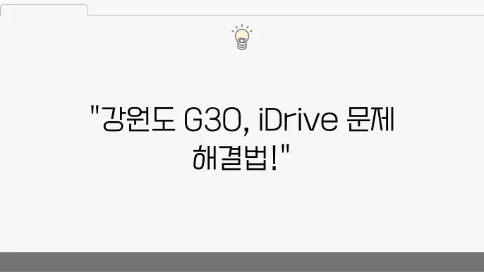 BMW 5시리즈 G30 고질병: 강원도 지역 iDrive 오류 해결법