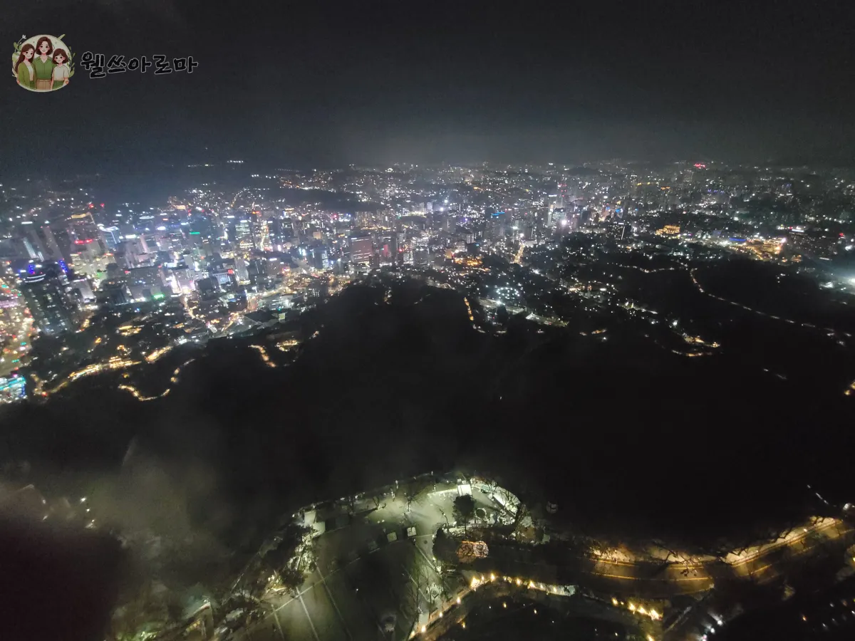 서울남산타워-N서울타워전망대에서본서울