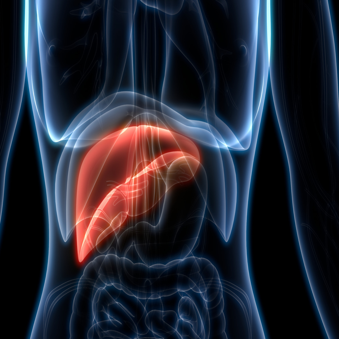 담낭염과 담석증, 어떻게 다를까? (통증, 염증, 담즙정체)