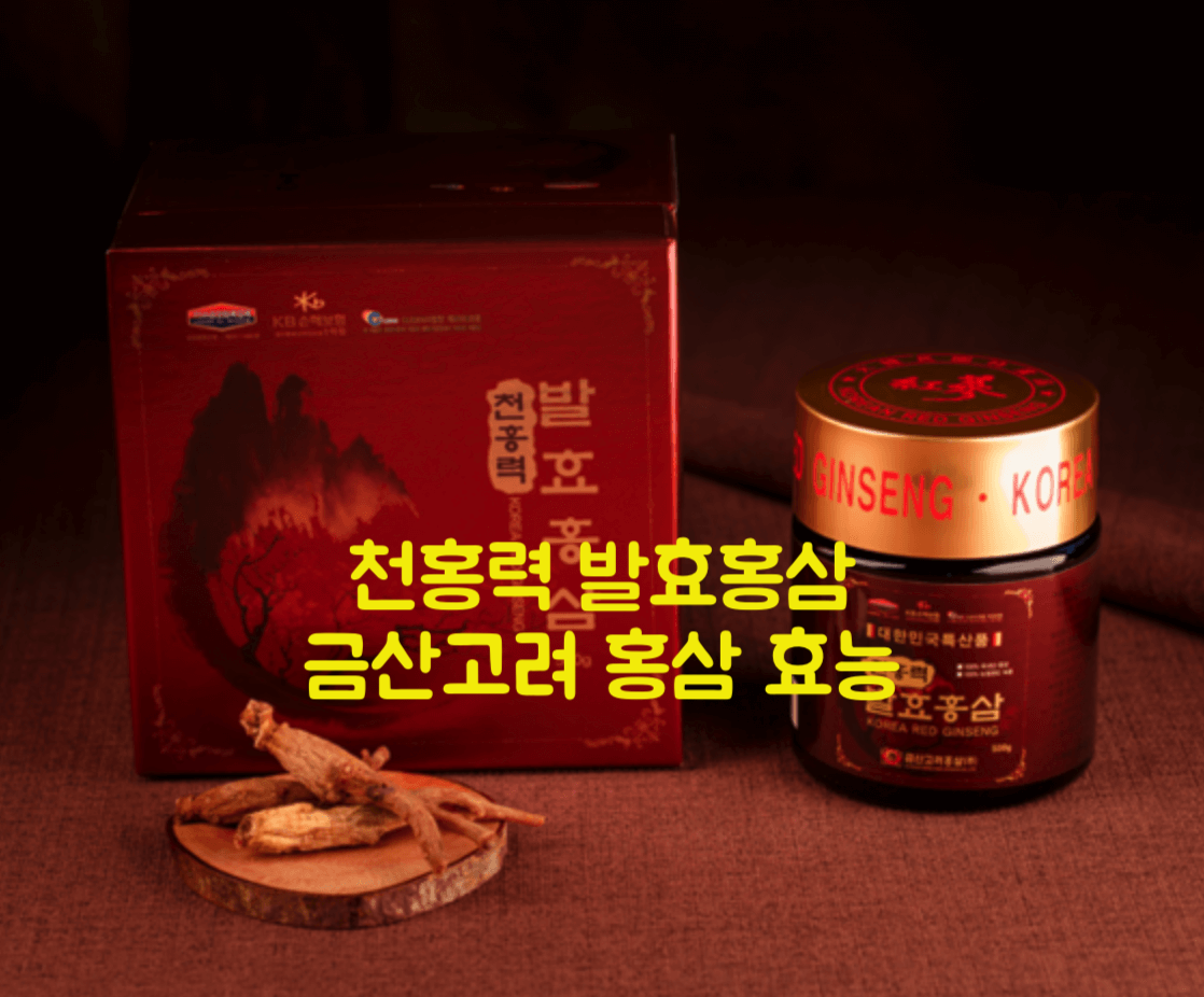 천홍력 발효홍삼