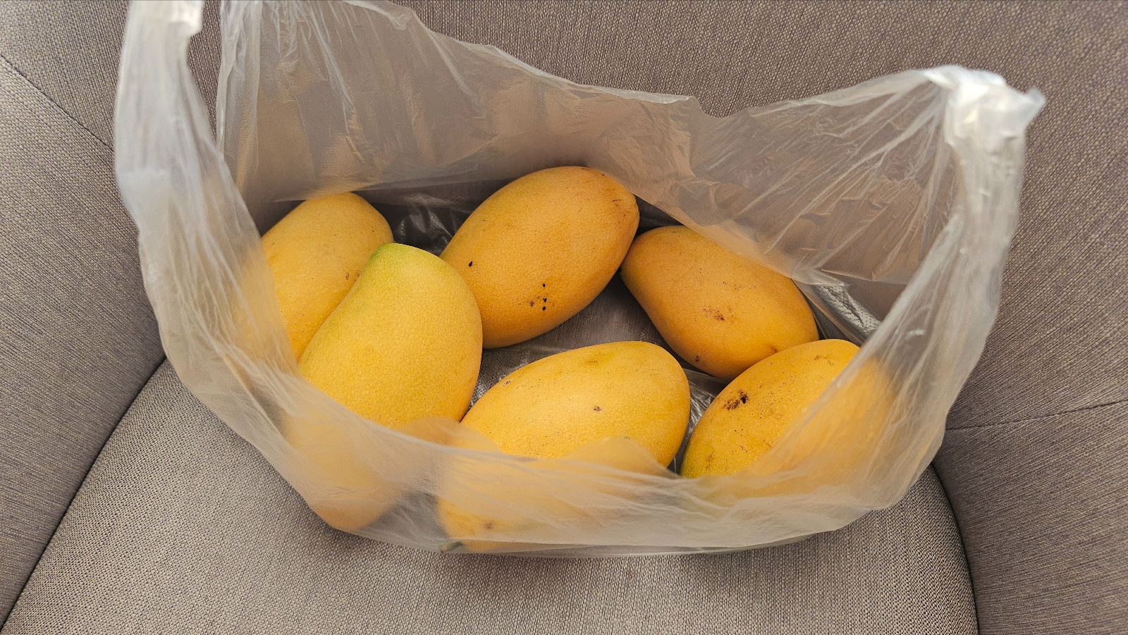 [25.3월] 푸꾸옥 #6❘킹콩마트 방문 후기 – 기념품부터 장바구니까지 꽉 채운 쇼핑 타임