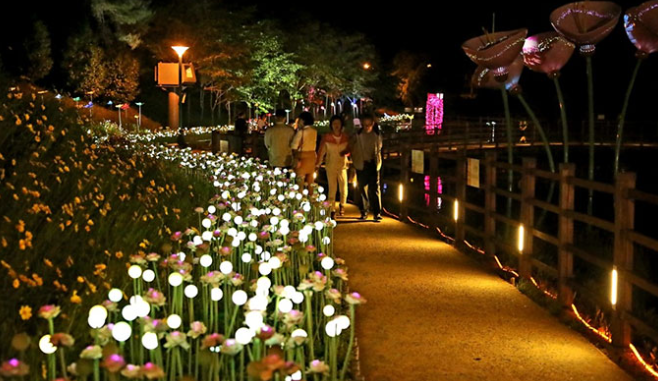 2025 울산대공원 장미축제