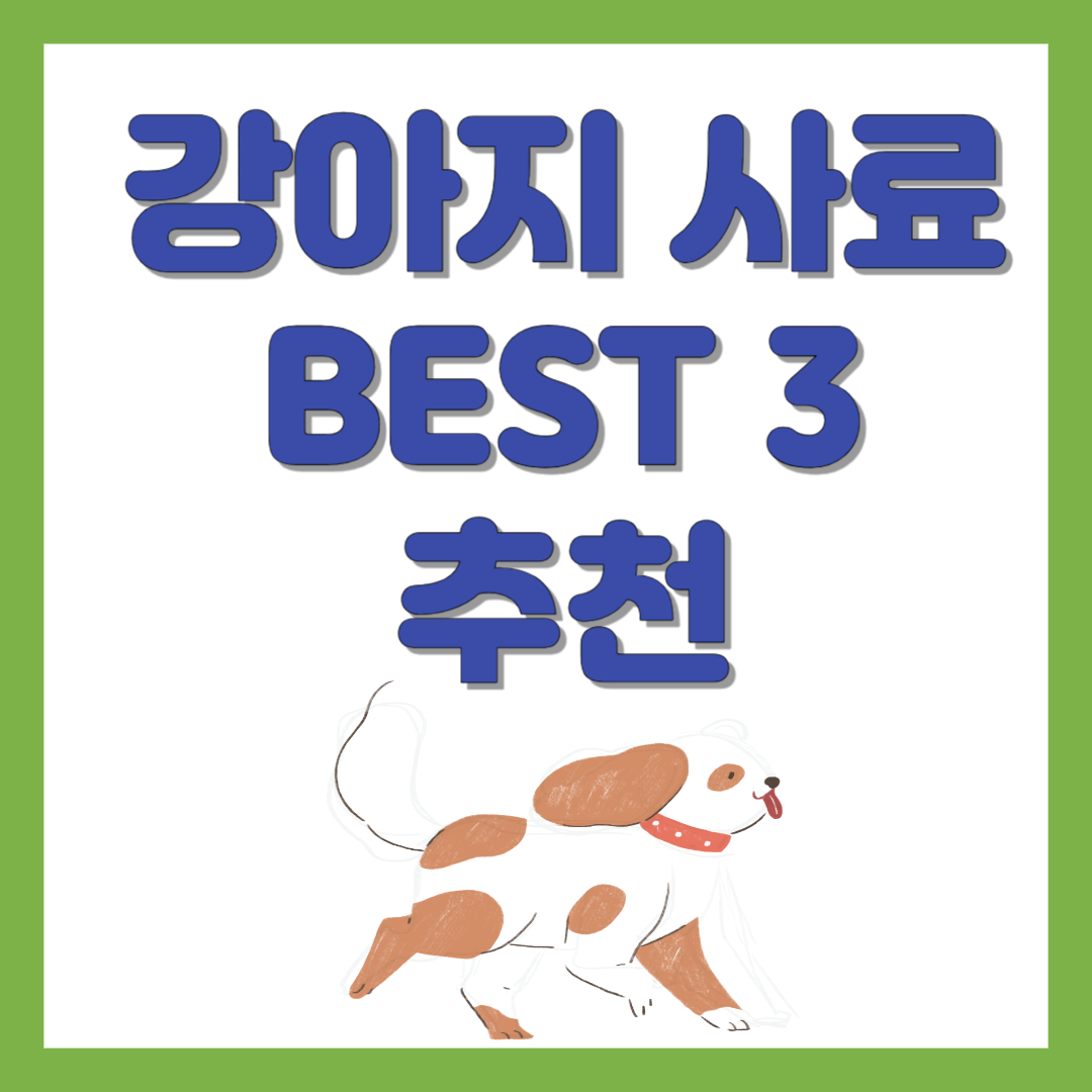 강아지 사료 추천
