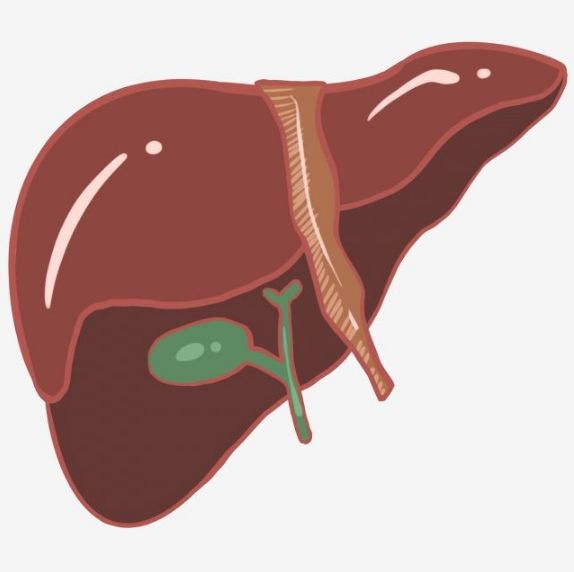 bilirubin 수치