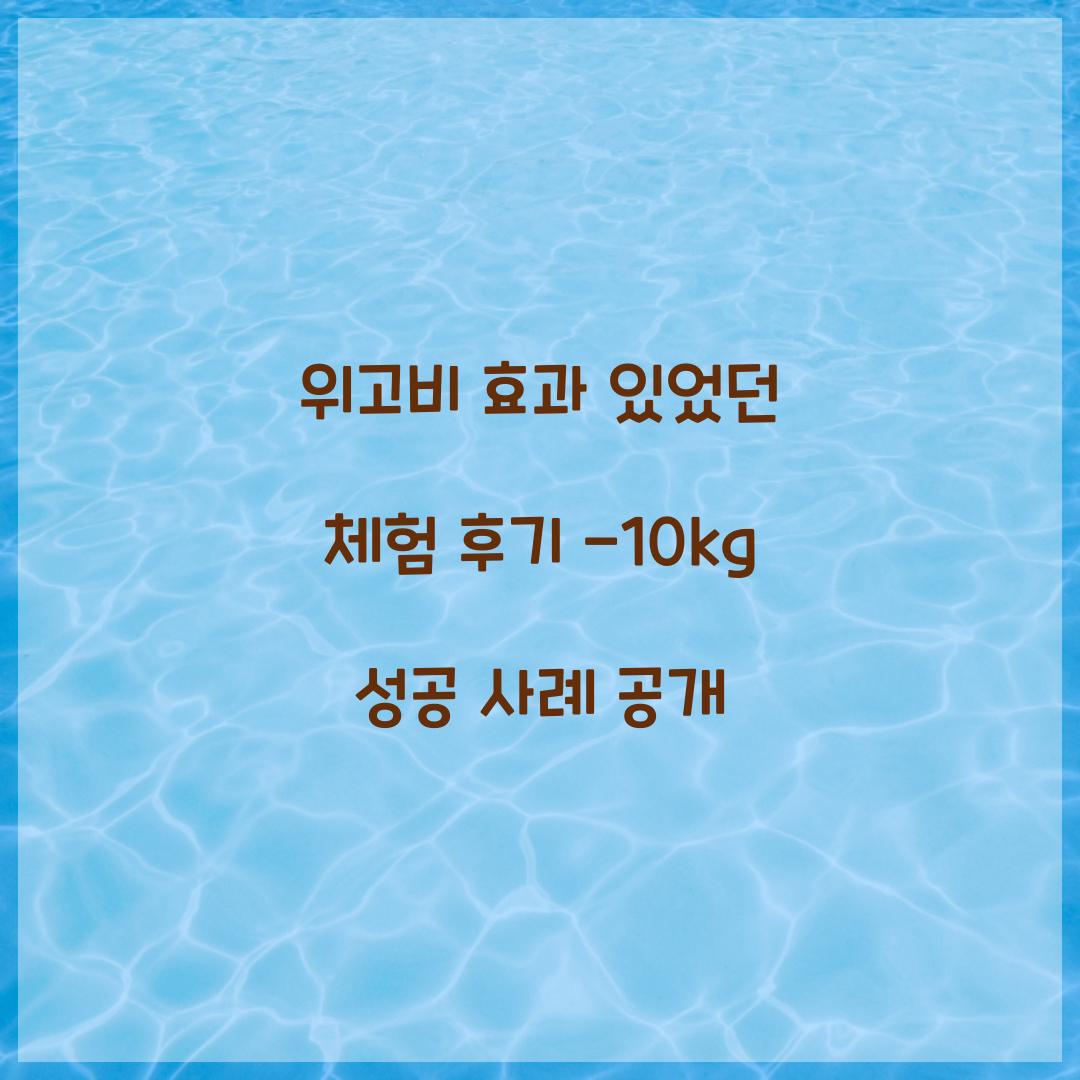 위고비 효과 있었던 체험 후기