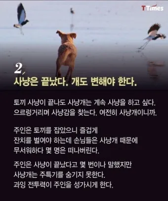 토사구팽 뜻과 5가지 상황별 해석 정리_12