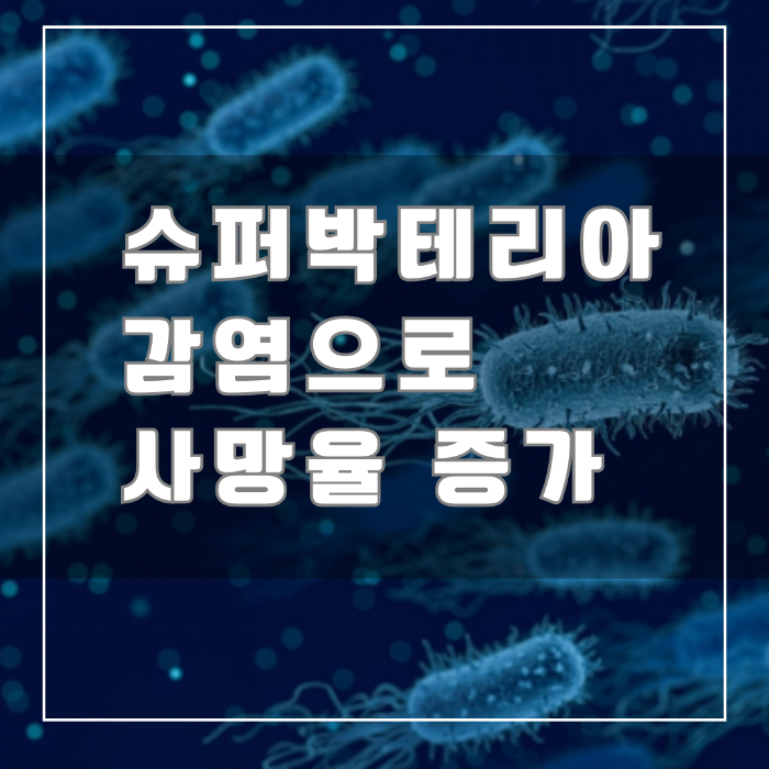 슈퍼 박테리아 감염으로 사망률증가