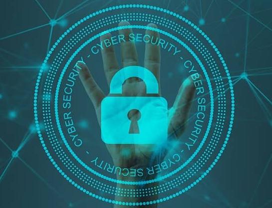 오아시스(ROSE)코인 분석&amp;#44;&amp;#39;메타&amp;#39;와 &amp;#39;바이낸스&amp;#39;가 선택한 이유 