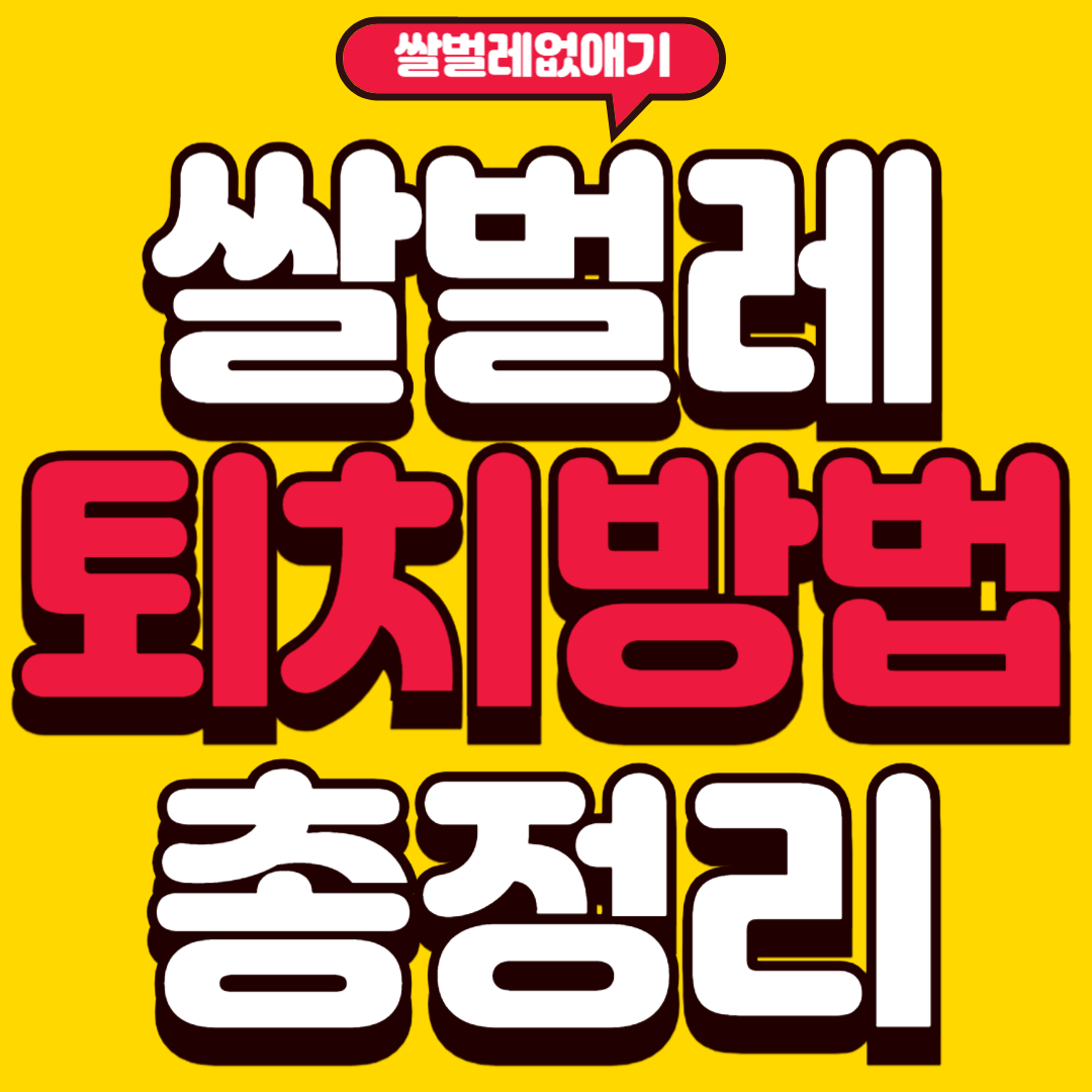 쌀벌레없애는법