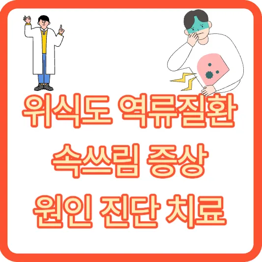 위식도 역류질환 속쓰림 증상 원인 진단 치료(