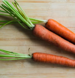 당근 효능 부작용 고르는법 칼로리