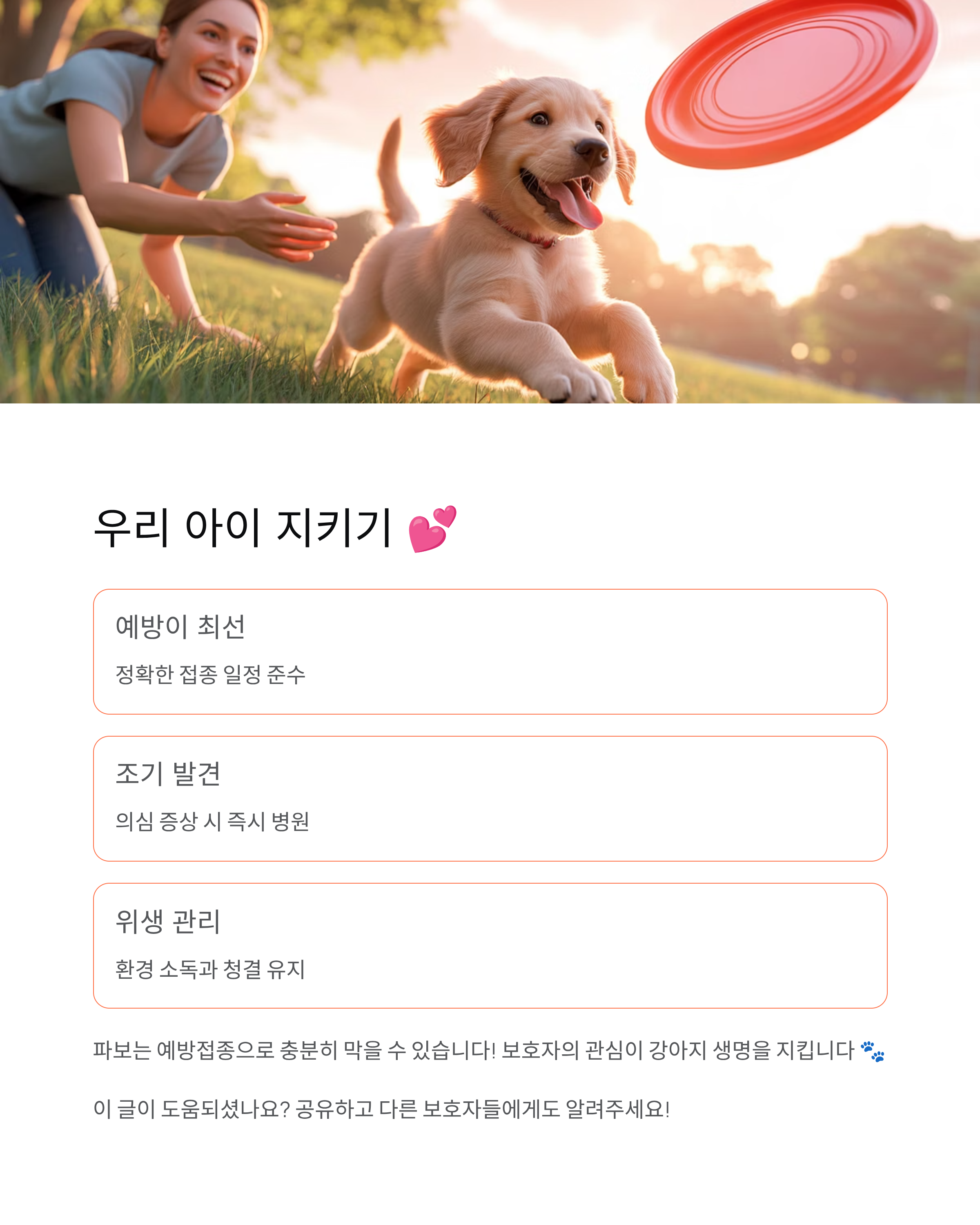 강아지 파보 🚨 증상·치료·예방접종 완벽 가이드!