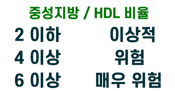 중성지방 / HDL 비율 <닥터조의 건강이야기 중에서>