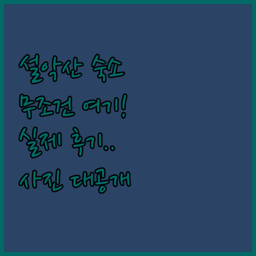 설악산 국립공원 근처 숙소 5곳 비교..