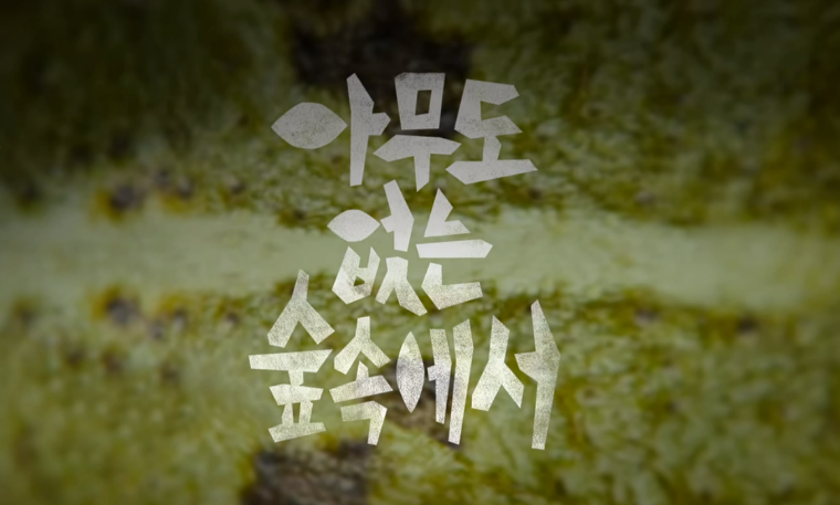 넷플릭스 드라마 '아무도 없는 숲 속에서'