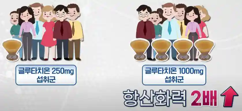 글루타치온 섭취량 테스트