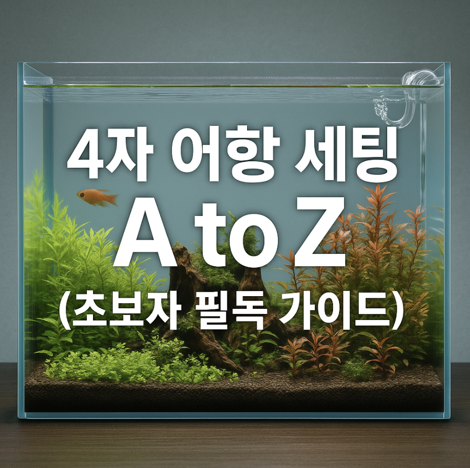 4자 어항 세팅 A to Z (초보자 필독 가이드)