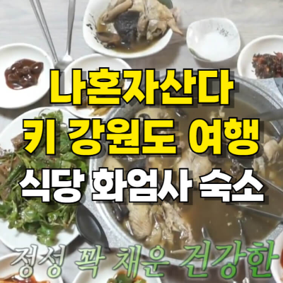 나혼자산다 키 강원도 힐링 여행 식당 화엄사 숙소 섬네일