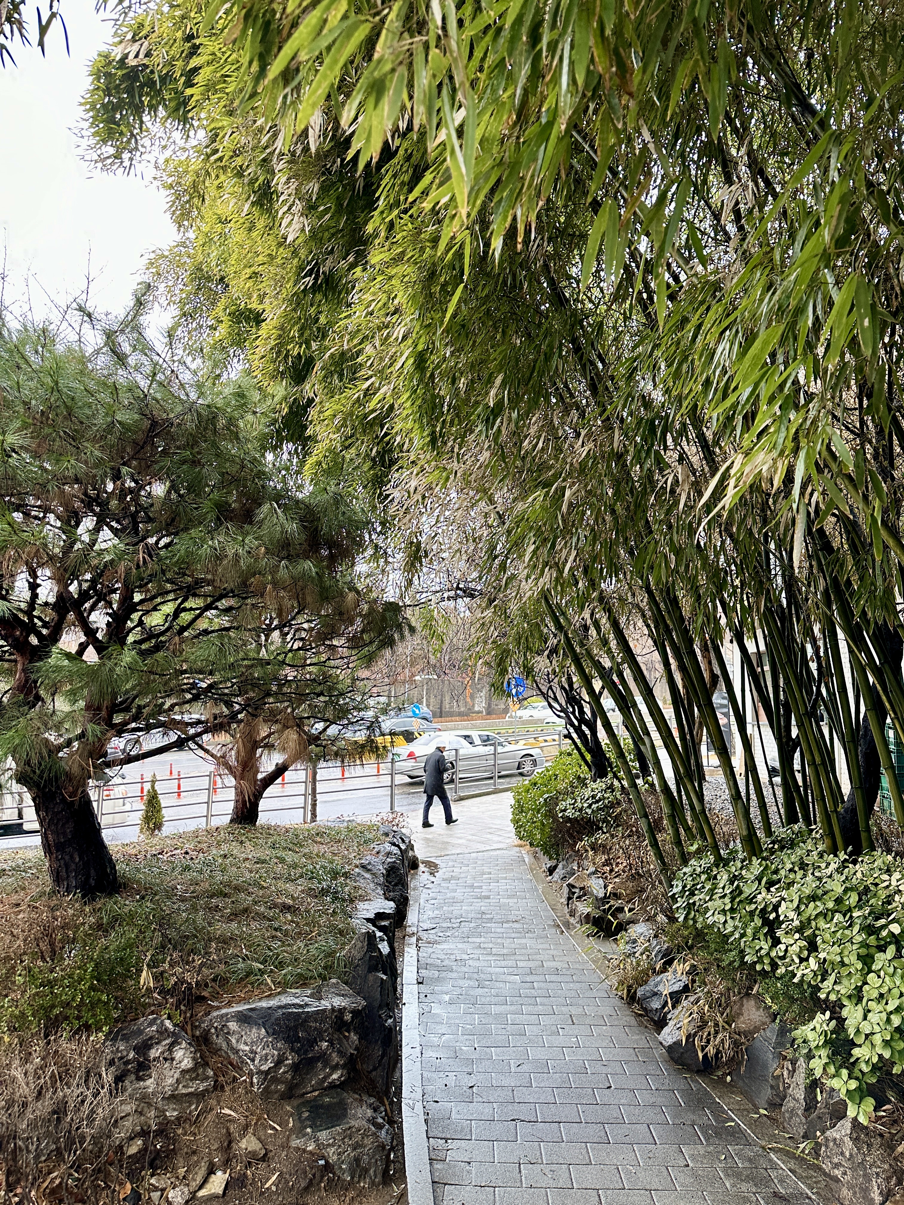 이태원으로 가는 대나무길