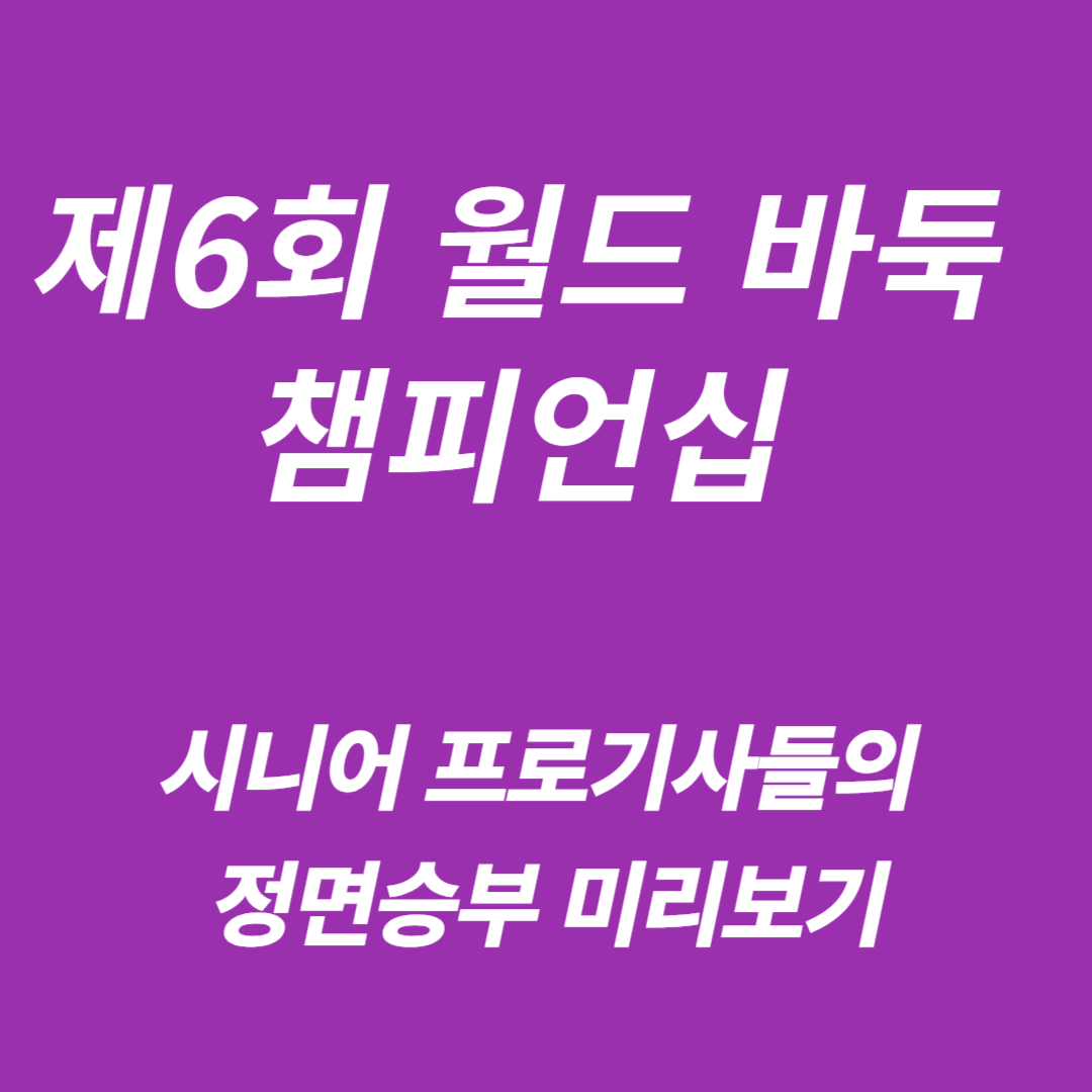 제6회 월드 바둑 챔피언십