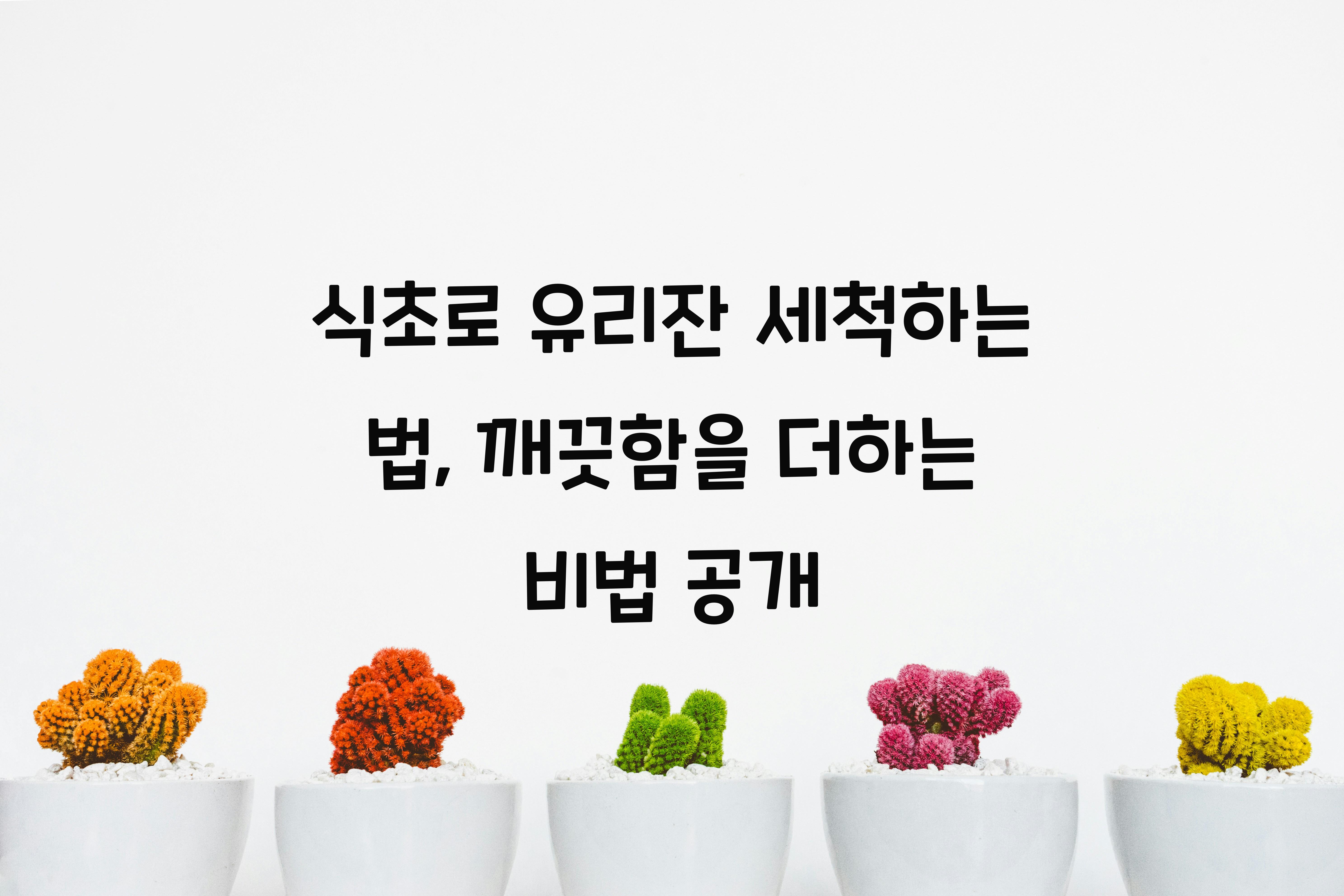 식초로 유리잔 세척하는 법