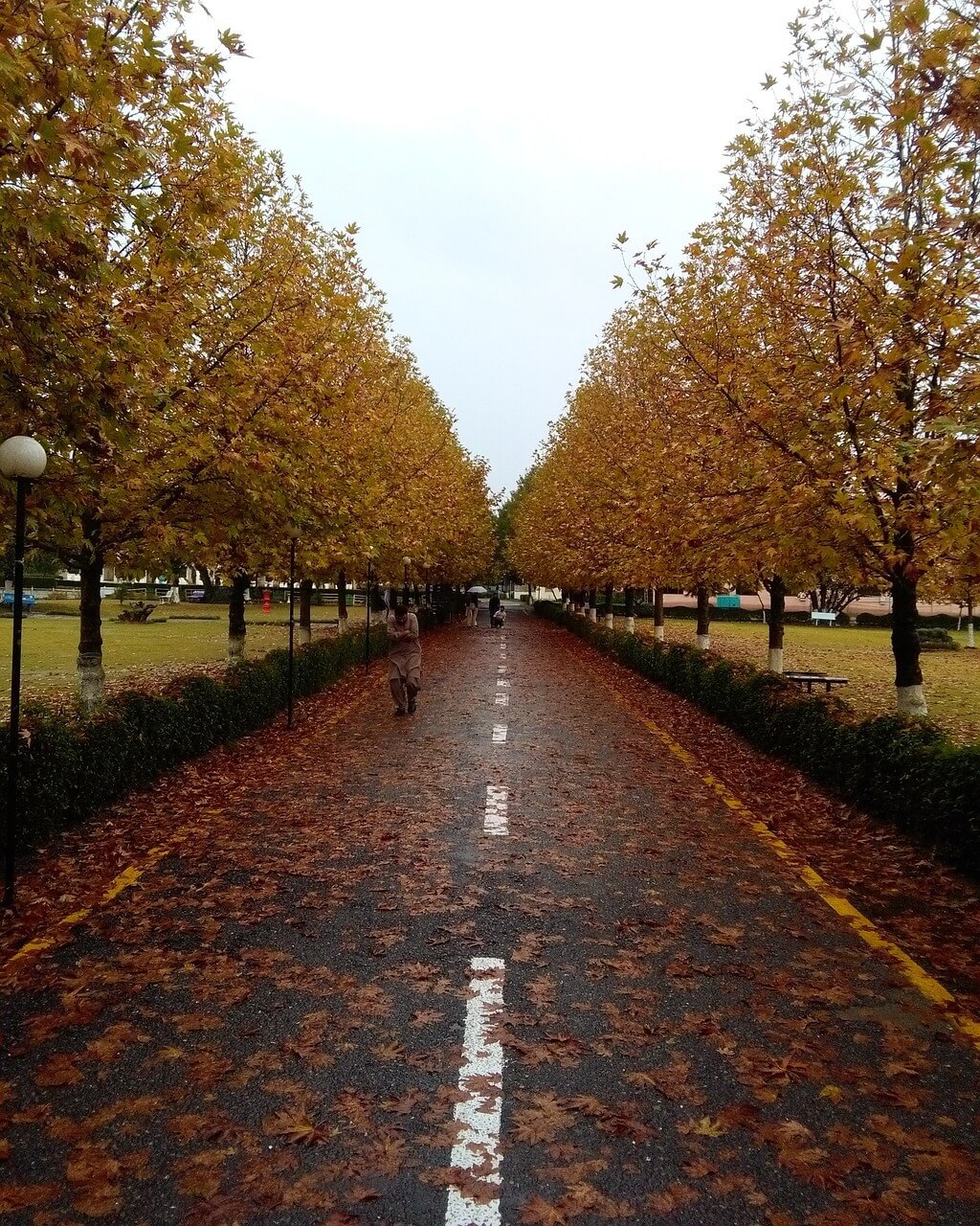 입동 날짜와 의미