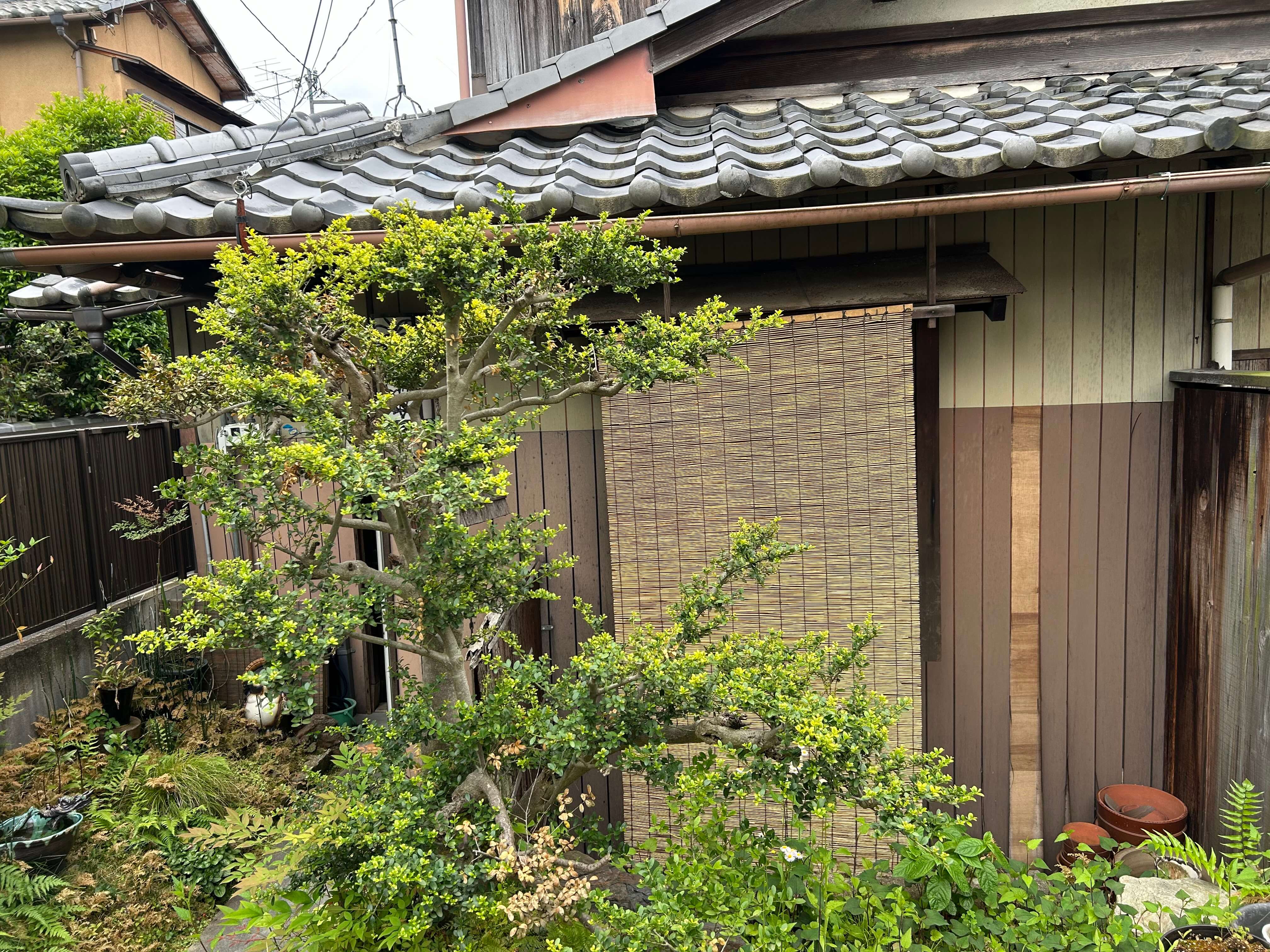 여자 혼자 떠나는 안전한 여행지 관련사진