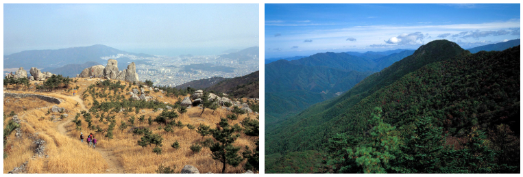 금정산 과 명지산 소개 사진