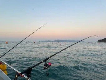 초보 바다낚시 최고 추천 명소 쉽게 낚시할 수 있는 추천 장소 5곳_7