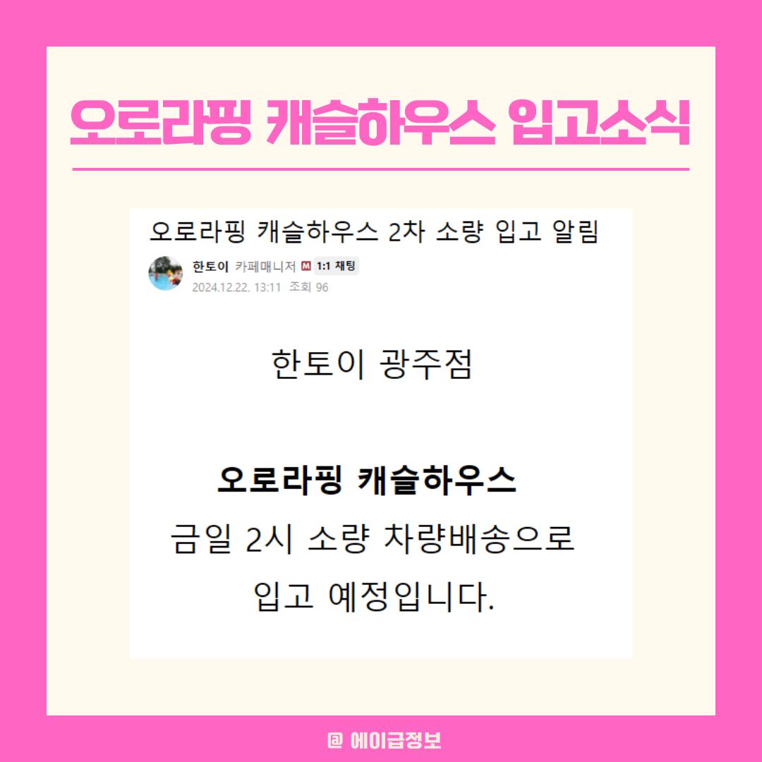오로라핑 캐슬하우스 입고소식