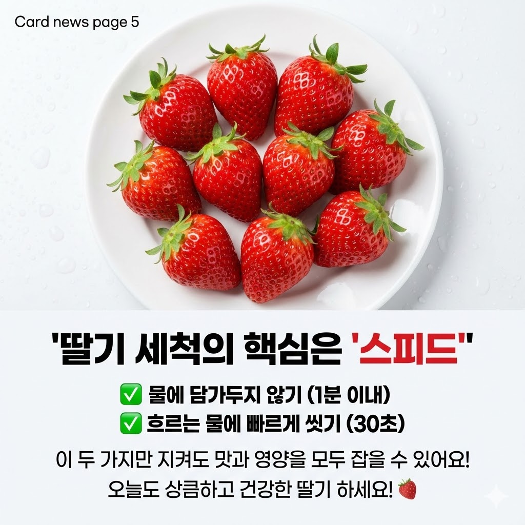 딸기세척법