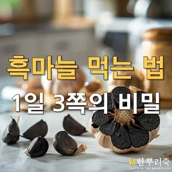흑마늘 효능 만드는 방법 섭취요령_9