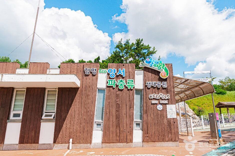 함평 가볼만한곳 베스트 10