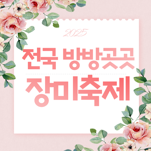 전국방방곳곳 장미축제