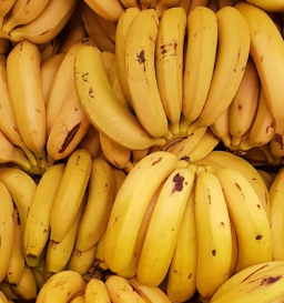 위궤양에 좋은 음식 영양제 식단