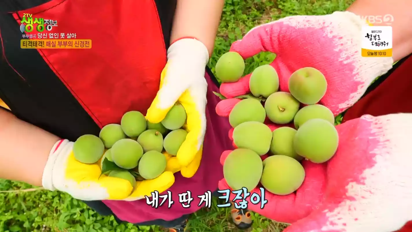 매실