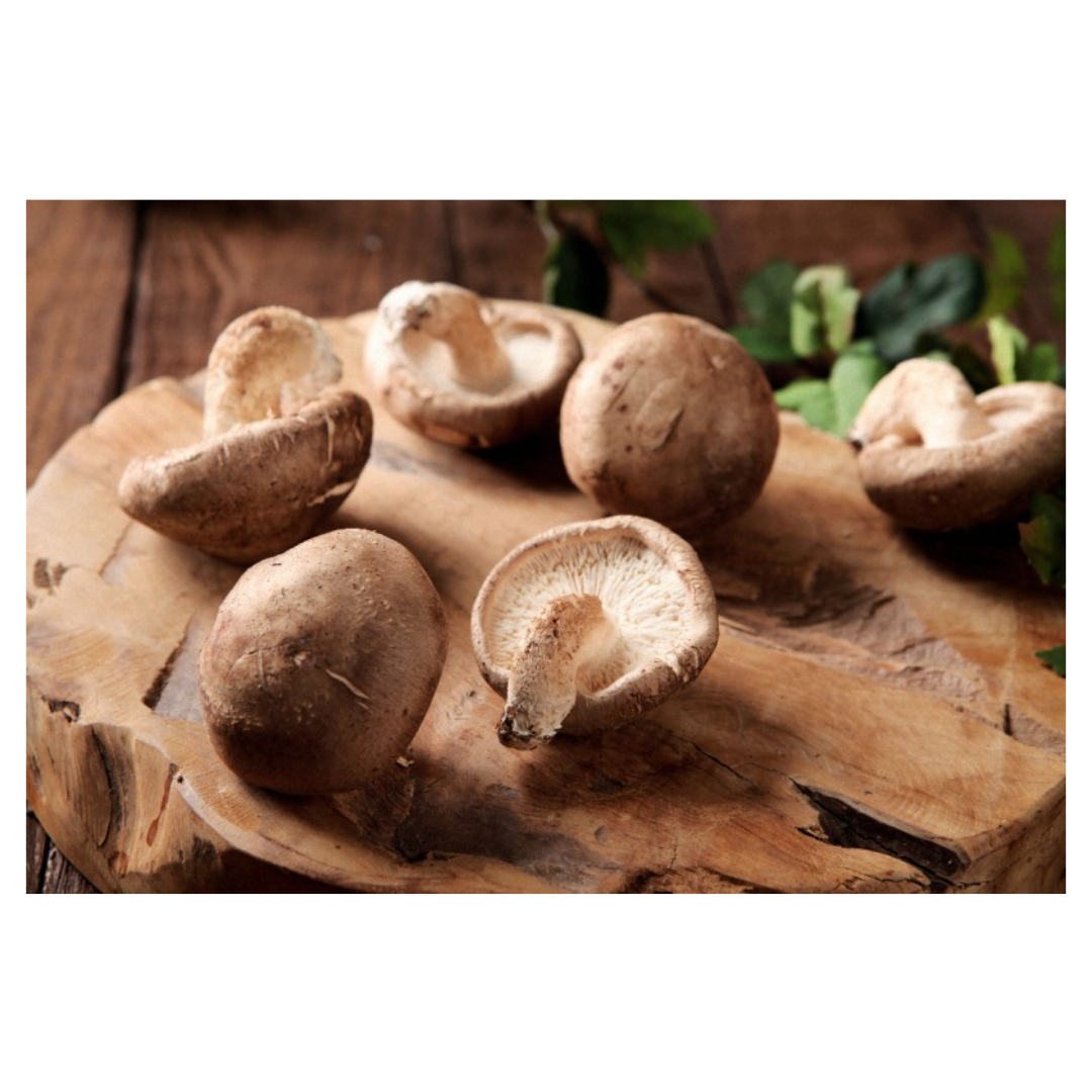 골다공증과 관련된 사진입니다.