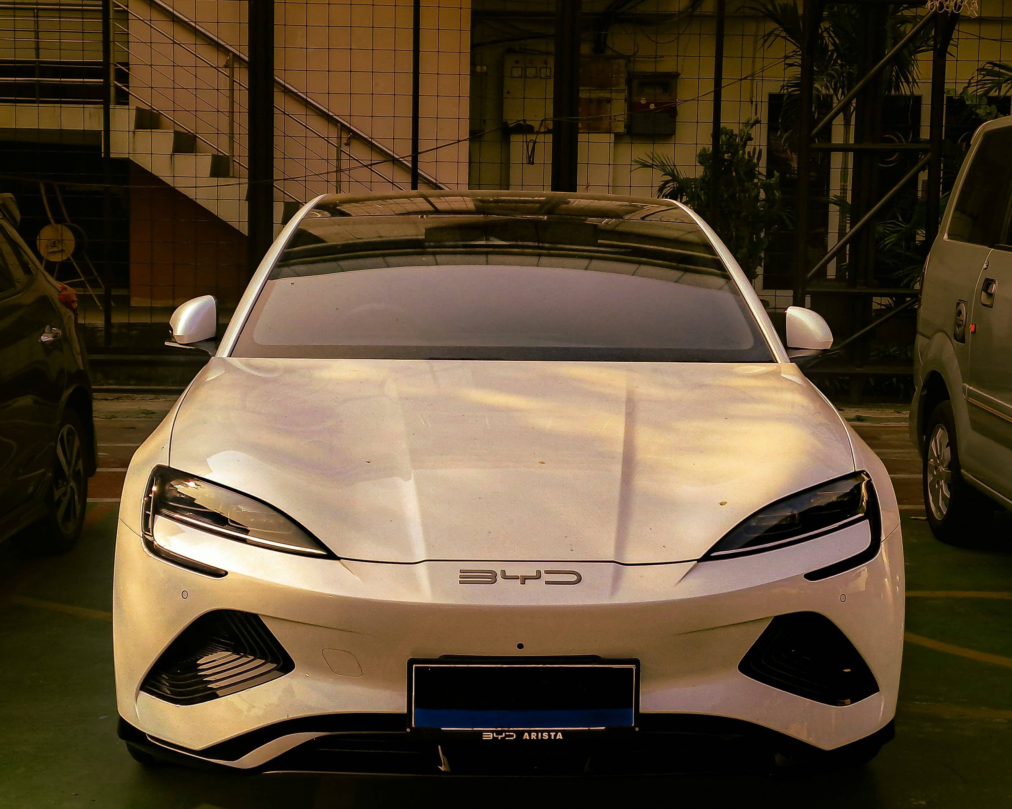 BYD 전기차