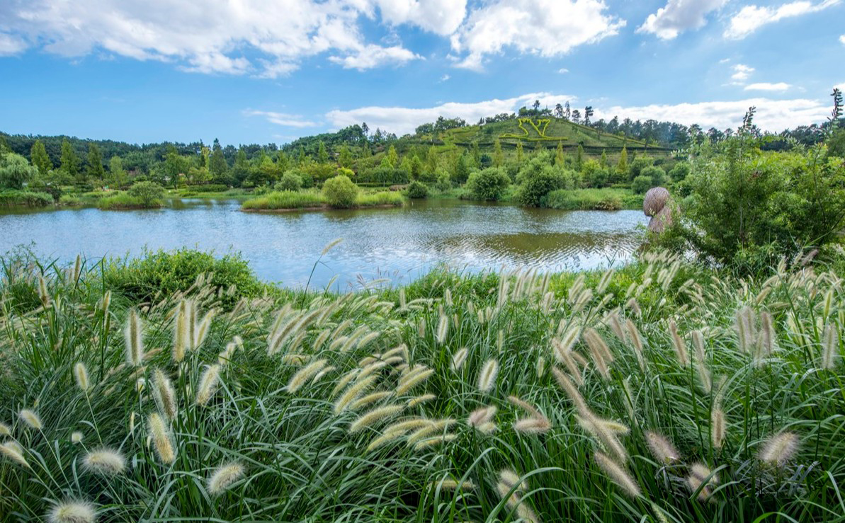 2025 건강도시 스탬프 투어
