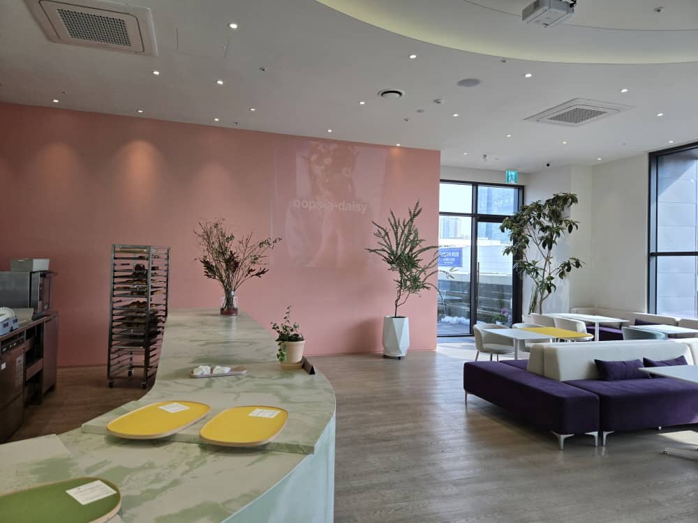 송도 웁스어데이지