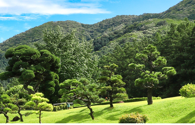 가평 아침고요수목원 봄꽃페스타