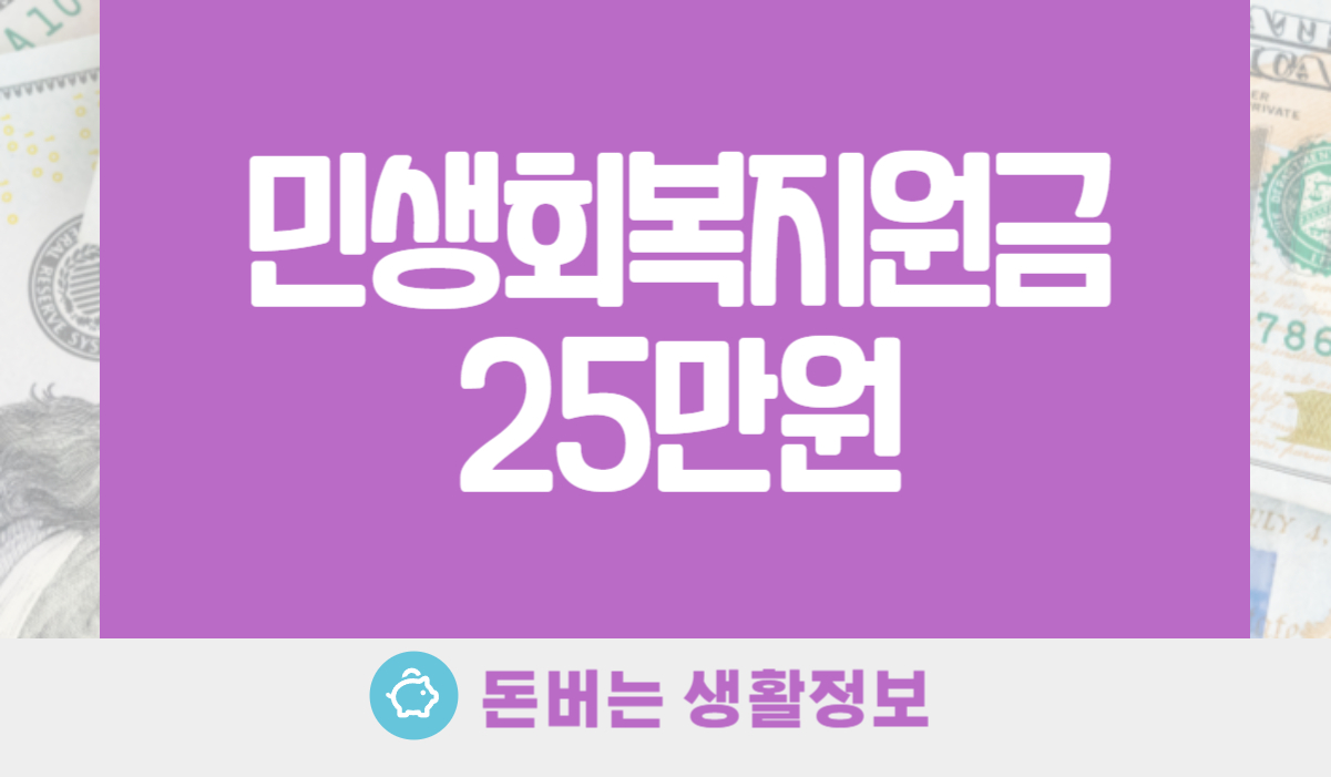 민생회복지원금 25만원