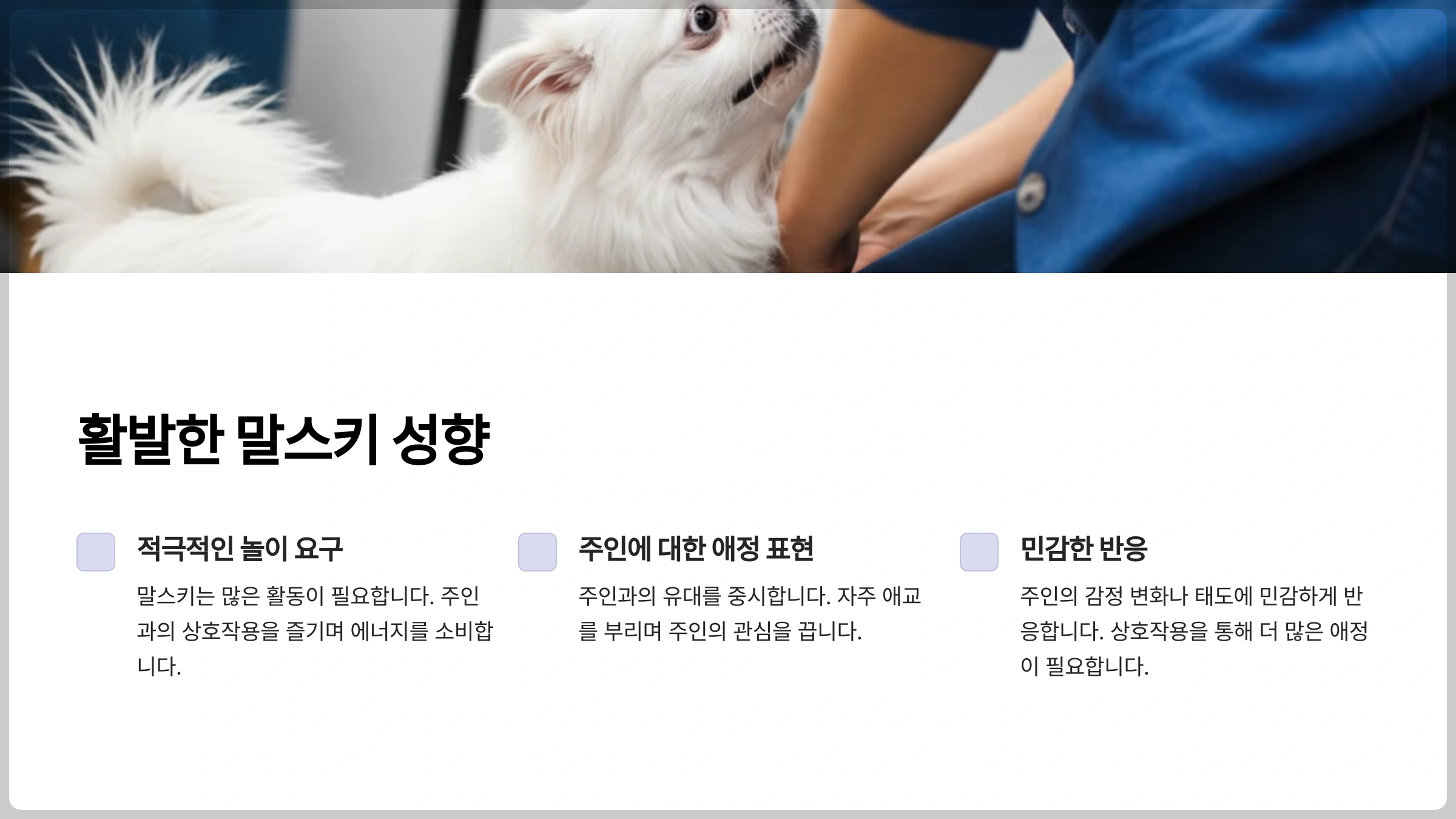 활발한 말스키 성향