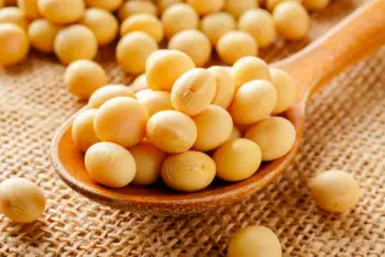 메주콩 가격 및 효능&amp;#44; 영양소&amp;#44; 영양성분