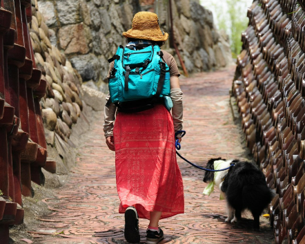 1인가구 정서관리와 반려동물