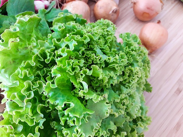 골다공증 치료방법 5