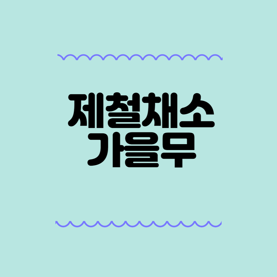 제철채소 가을무